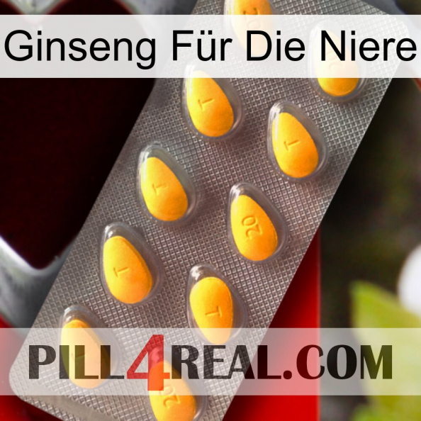 Ginseng Für Die Niere cialis1.jpg